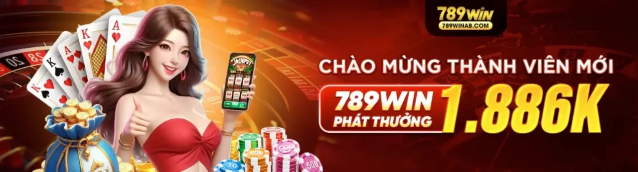 Dịch vụ chăm sóc khách hàng 24/7 của VNDWIN